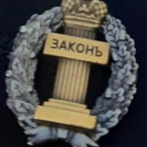 Дмитрук Денис Валерьевич