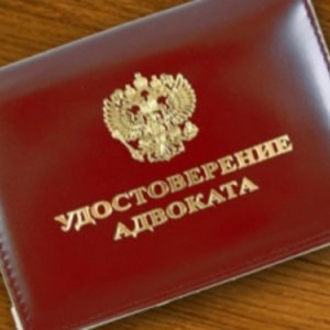 Берзина Анастасия Сергеевна