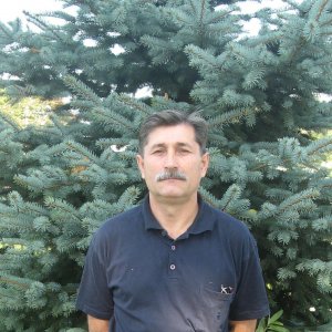 Ермолаев Алексей Евгеньевич