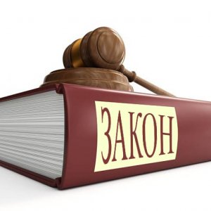 Плугина Екатерина Валерьевна